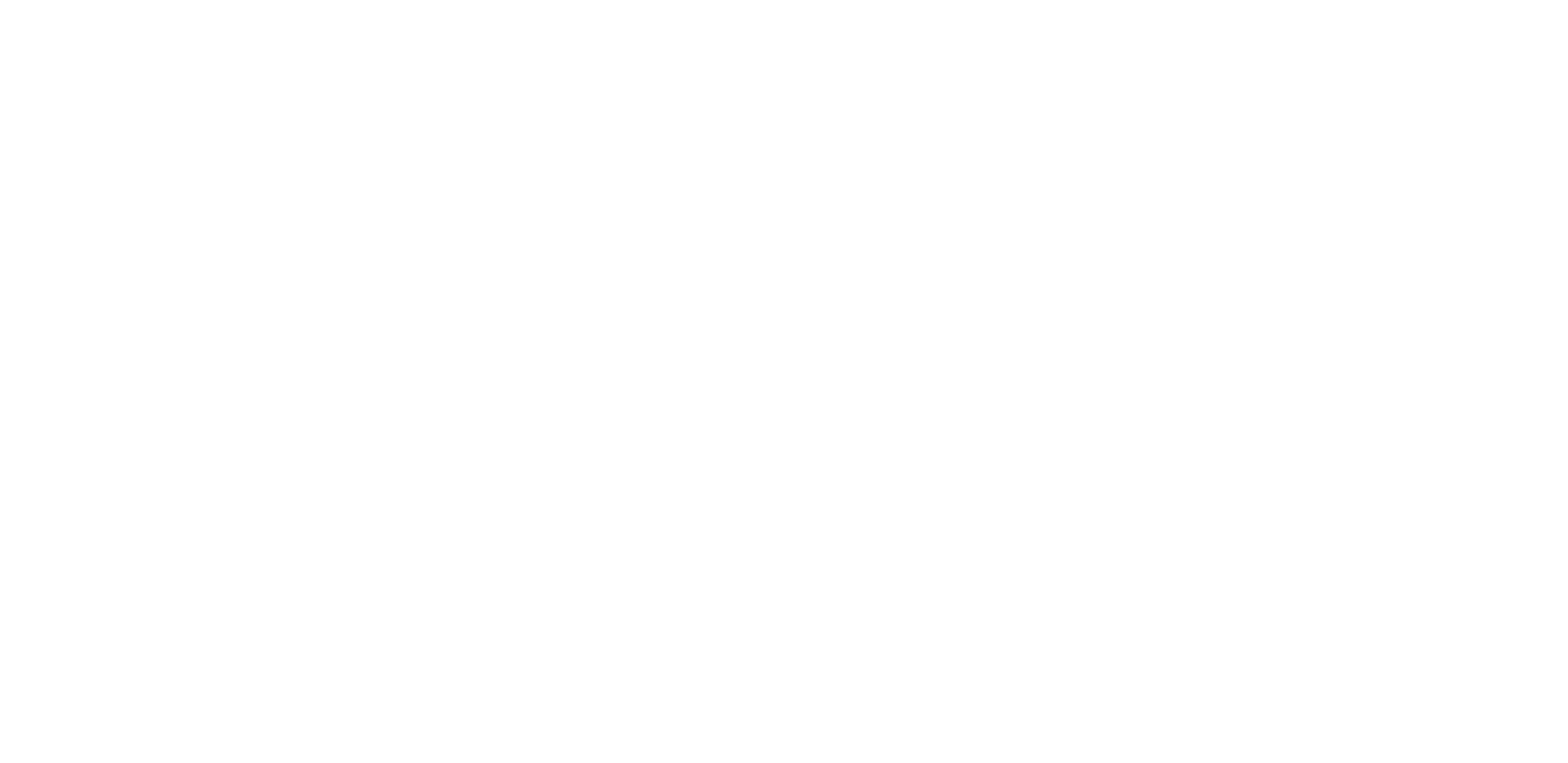lily and vine logo 4
